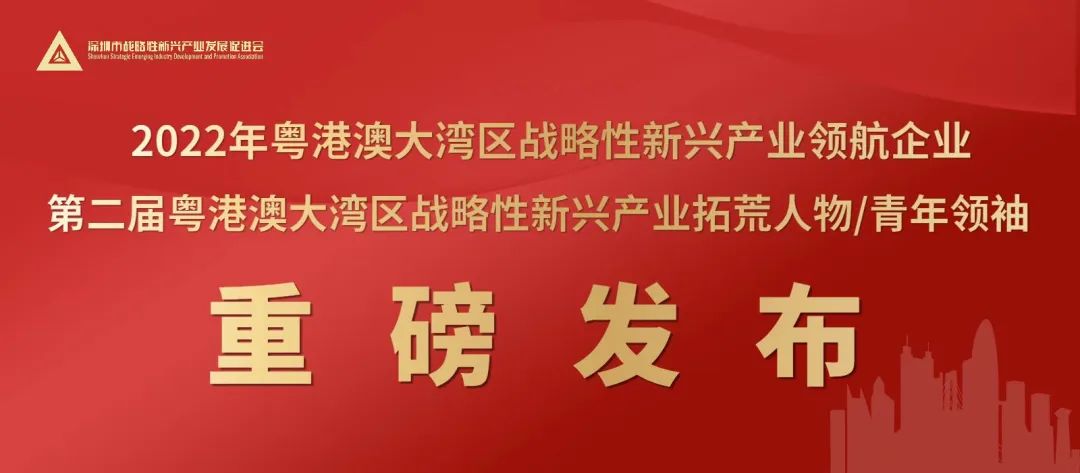 粤港澳大湾区青年领袖