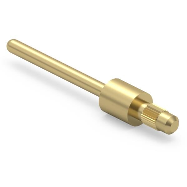 3155-0-00-21-00-00-03-0