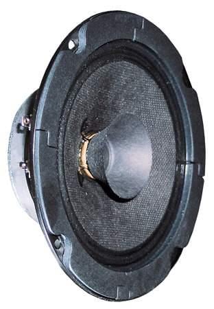BG 13 P - 8 OHM