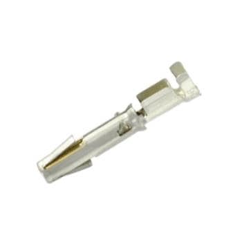 SC20M1S31