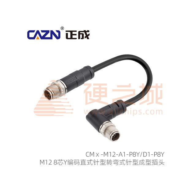 CM01-M12-A1-P8Y/D1-P8Y-1M
