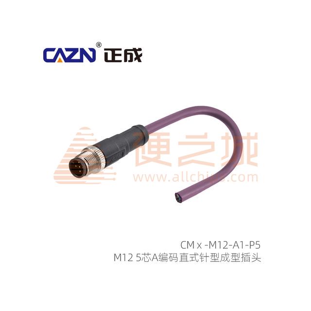 CM01-M12-A1-P5-1M
